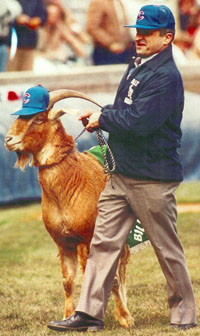 Sam Sianis and his goat at Wrigley Field